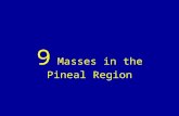 9 masses in the pineal region