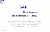SAP BW Reports - Copy