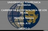 UNIVERSIDAD POLITÉCNICA SALESIANA  CARRERA DE BIOTECNOLOGÍA DE LOS RR.NN  PRISCILA TEJADA  AULA: A10  GRUPO:3