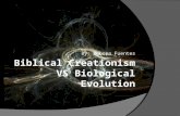 Creationism vs evolution