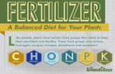Fertilizer: A Balanced Diet for Your Plants | Tips from The Grounds Guys®
