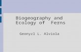 Biogerographyand ecology of  ferns