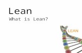 What is Lean ?