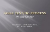 Agile QA and Testing process