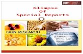 Glimpse of special reports