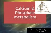 Calcium & phosphate metabolism