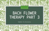 Bach Flower Therapy Part 3
