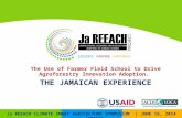 The Use of Farmer Field School to Drive Agroforestry Innovation Adoption: The Jamaican Experience