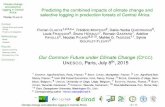 Presentation: Predicting the combined impacts of climate change and selective logging in production forests of Central Africa