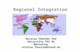 Regional integration and developing countries