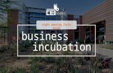 8 Amazing Facts about Business Incubators & Accelerators