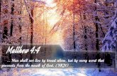 Matthew 4:4 - Bible Verse of the Day