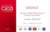 Doctoral Consortium@RuleML2015: GROOLS: Reactive Graph Reasoning for Genome Annotation