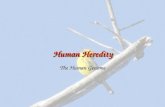 Human heredity