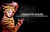 Marketing Analysis Practice-Cirque du soleil