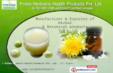 Herbal Product by Prime Herbonix Health Products Private Limited Pune