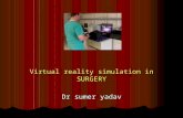virtual simulation
