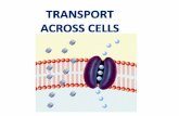 Transport across cells   [2015]
