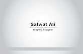Safwat C.V01