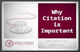 Roseman University Library - APA Citation - Why citation is important!