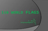 110 world Flags