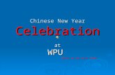 Chinese new year celebration (rev)