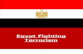 Egypt Fighting Terrorism - 2013