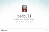 Redbull - Instagram Report - Socialbakers