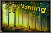 Misty morning (v.m.)