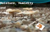 Moisture, Humidity and Fungi - An Autumn View
