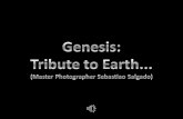 Genesis   Tributo á Terra