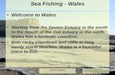 Sea fishing wales final