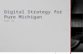 Digital strategy for pure michigan