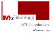 MTS Introduction English