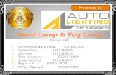 auto-lighting (head-lamp and fog-lamp)