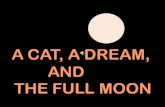 A CAT, A DREAM, AND THE FULL MOON