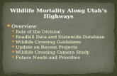 Wildlife Mortality Along Utah's Highways, April 2011