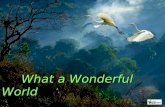 What a Wonderful World - beautiful mother nature with beautiful music ‘what a wonderful world’