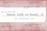 Rural Life In Korat