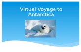 Virtual Voyage to Antarctica