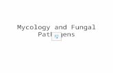 6 - Mycology and Fungal Pathogens