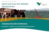 Luiz Meriz, Vale: Steel and Iron Ore Market Perspectives