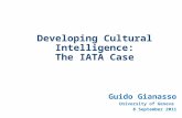 Developing Cultural Intelligence
