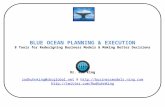 Blue Ocean Planning & Execution: 8 Tools for ReDesigning Business Models & Making Better Decisions