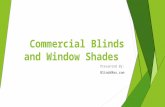 Commercial Blinds and Window Shades