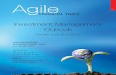 Agile Financial Times May09 Edition