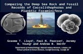 Comparing the deep sea rock and fossil records of coccolithophores and planktic Foraminifera