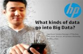 What kinds of data go into big data?