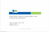 What does it take to adopt agile in the Federal Government