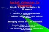 Social cohesion in singapore